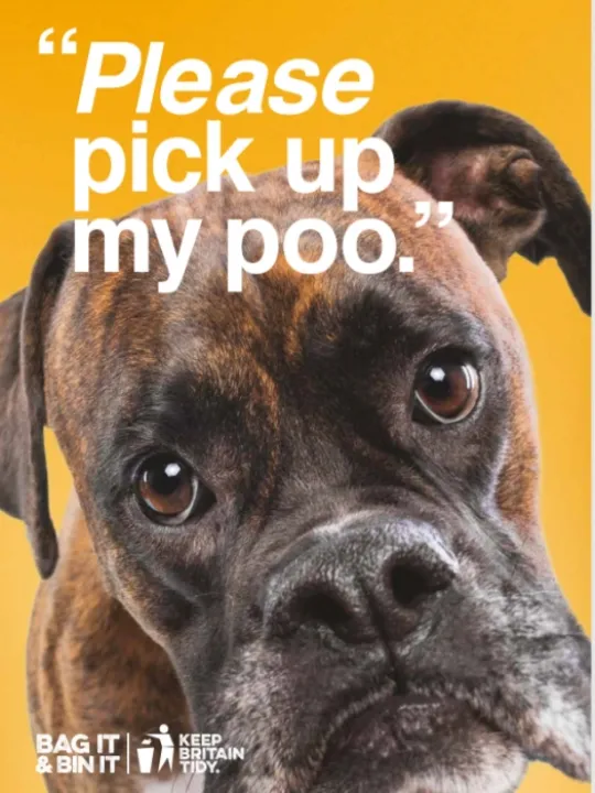 Do it for your dog Ben