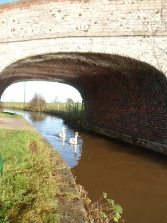 Litter Picking 2013 (9)