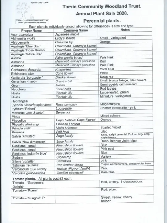 Woodland Plant Sale PhotoScan