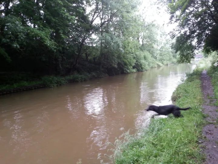 Image: 20200619_093329_9