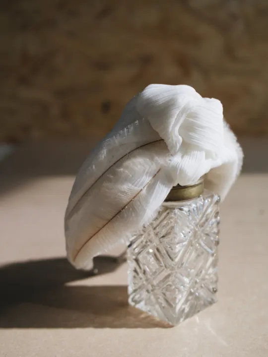 Image: 6C3D69F6-3568-44EA-84A2-1074A906080F