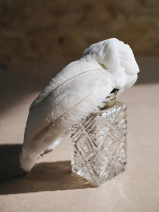 D21BE99A-BB42-4048-8406-2590CA4FE366