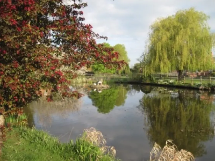 Hankelow Green &ndash; April 2011