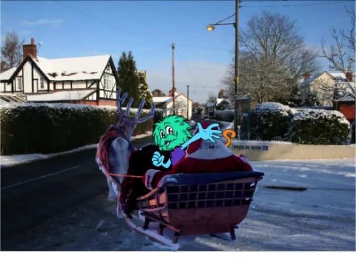 Minsh in sleigh