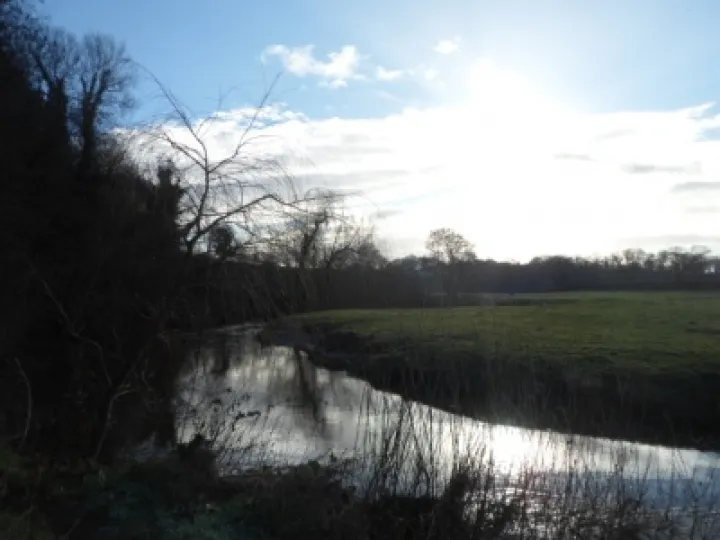 2013 Boxing Day walk