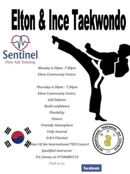 Taekwondo poster