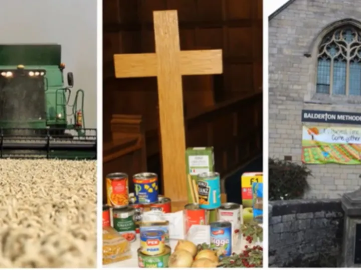 Balderton – Harvest