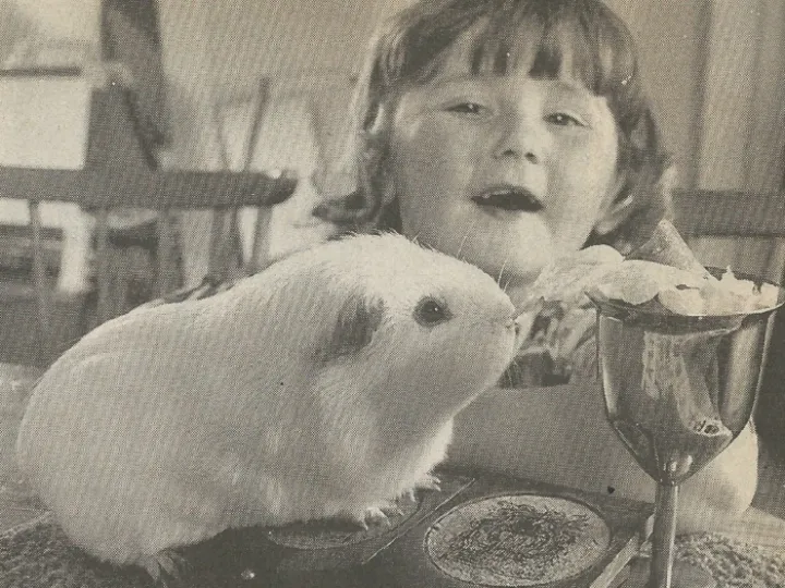 THR Cheshire Show Winner 8th July 1994 PhotoScan