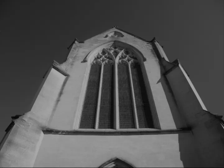 Image: 95942792_115121133519490_4349368829239885824_o