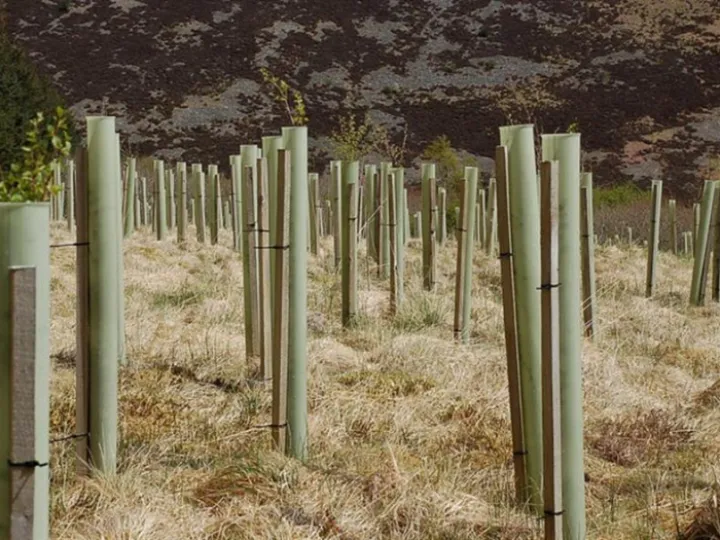 tree-tubes_geograph-1859866-Jim-Barton_CC-BY-SA-20