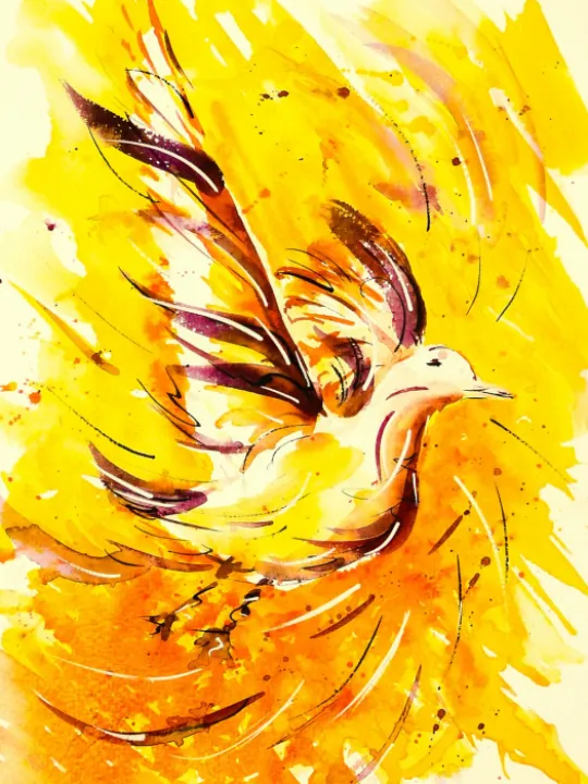 Dove, watercolour