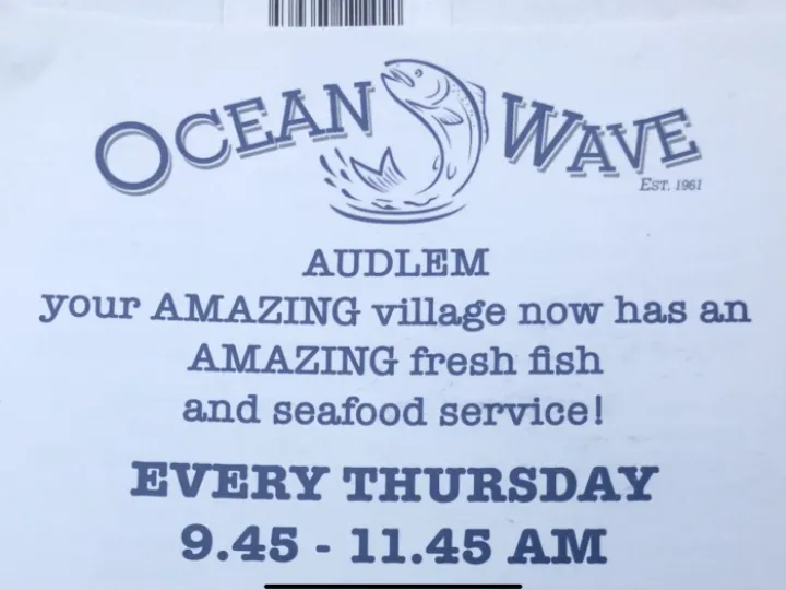 Ocean wave Fresh Fish