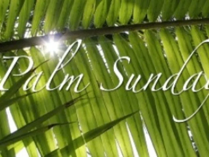 R8e040b38e8eaa0eedadcb2ca642b87ab