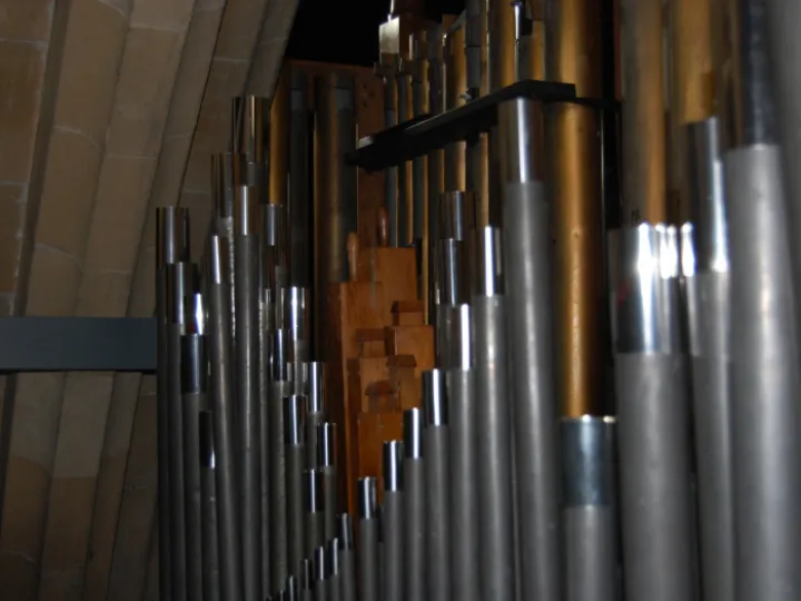 Organ2