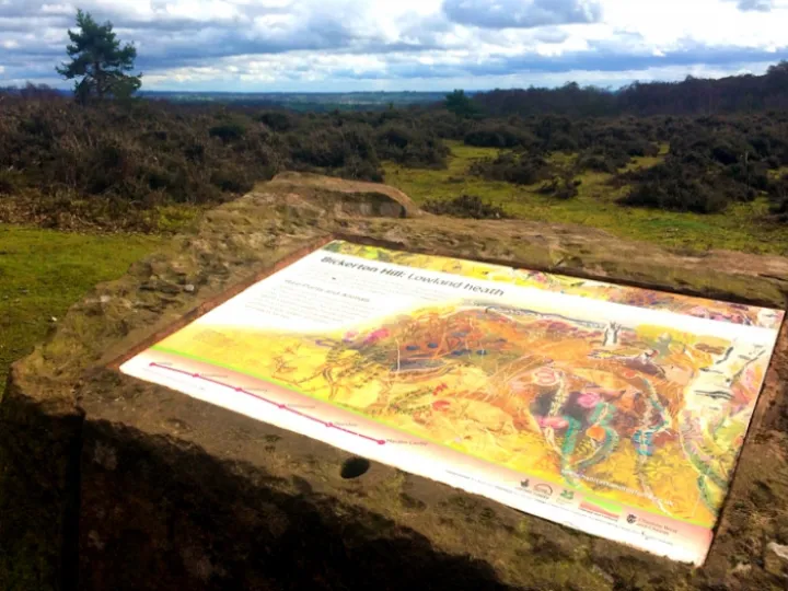 bickerton-panel-015-1000x666-800x533