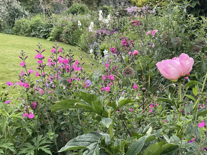 Image: 67D93F81-6373-4227-B733-726ED4A4ED55