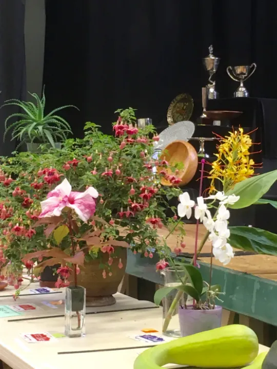 Image: 6C0BE9B0-FA97-4AAC-97AB-C6C4979B8708