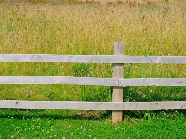 Holding The Line_F2826