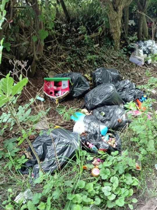Fly tipping in Thornton le Moors