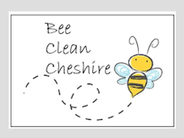 Bee Clean