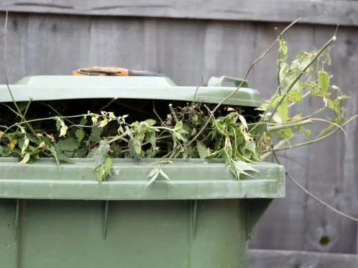 AFA0B685-752F-488C-A293-DAC93AE5D9CD