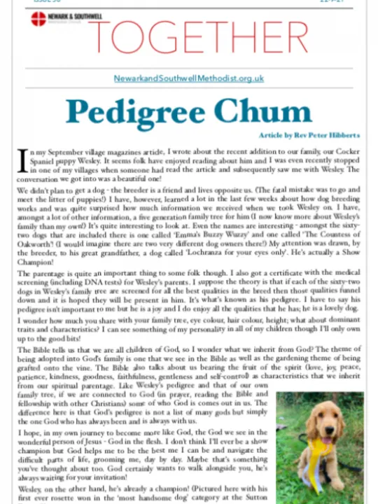 Circuit TOGETHER 50 22-9-21 – Preview