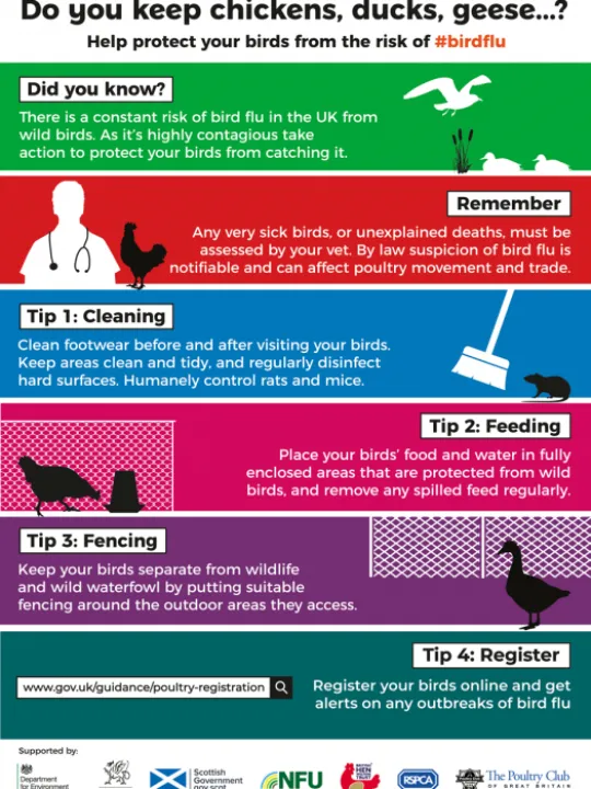 ai-birdflu-leaflet-1