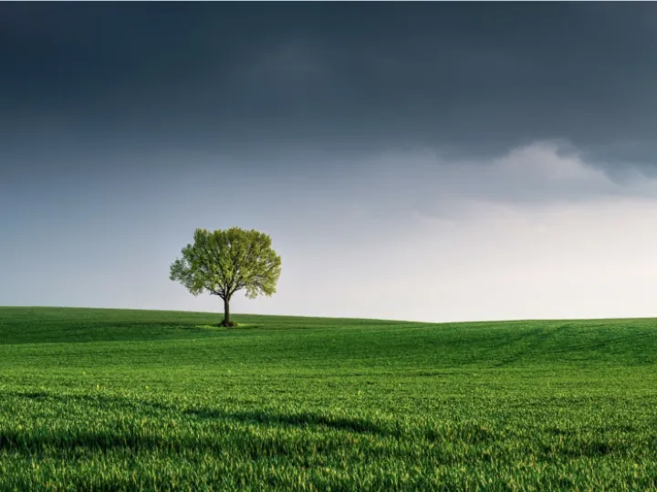 5F516CEC-852C-452B-87D0-72E5704EE839