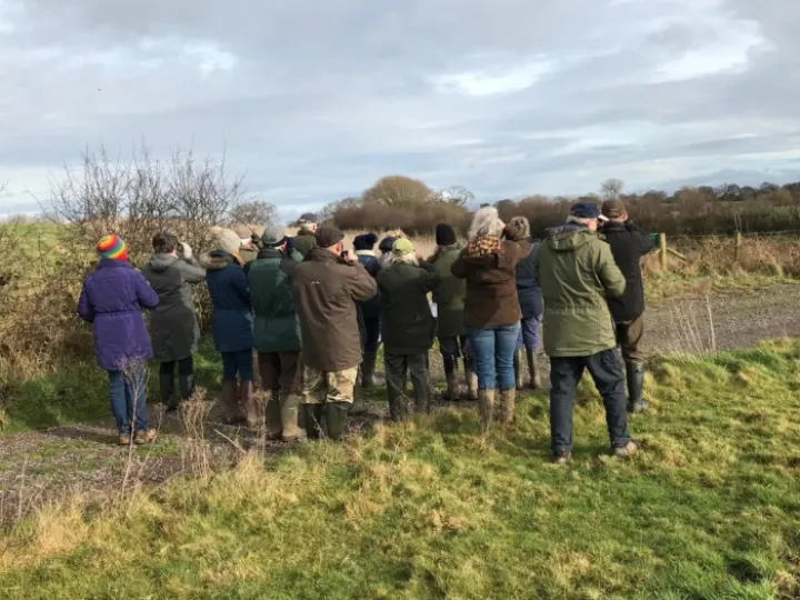 big farmland birdcount
