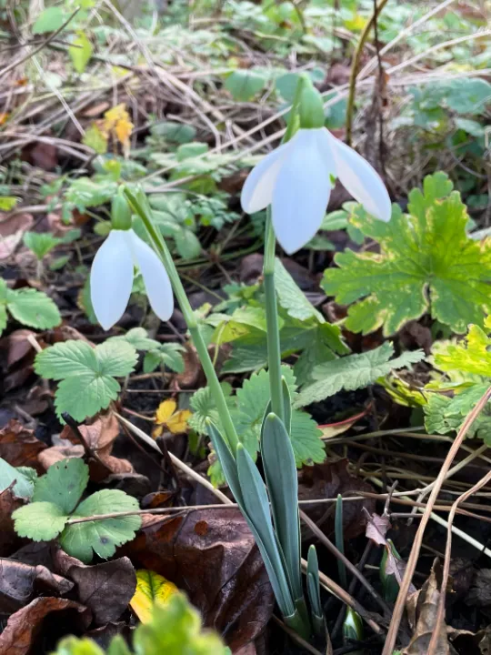 F80D1CDB-4C43-4321-9F74-EFB5ED267C0C