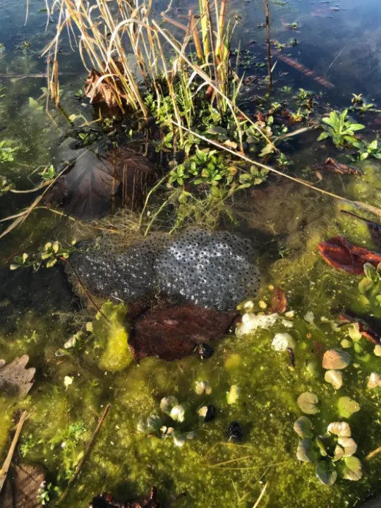 2e9da294-6602-42be-b019-a15889a060c7