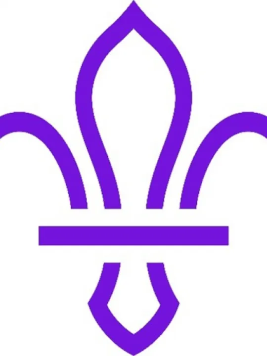 Scout Logo Picture1