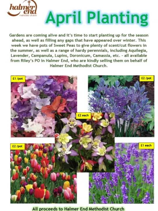 Rileys Flyer 4th April 2022