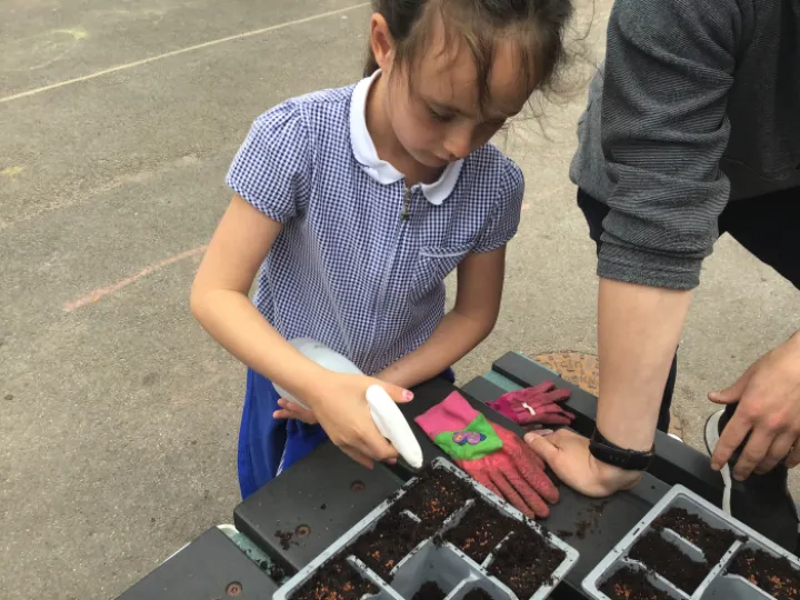 61B7AC4D-10D5-483F-9E3F-2BEEA8EB0355