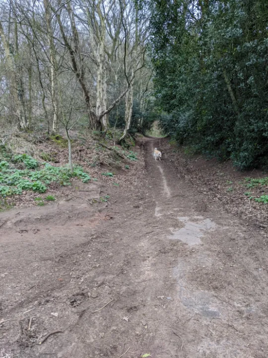 PXL_20220321_110741577-MP