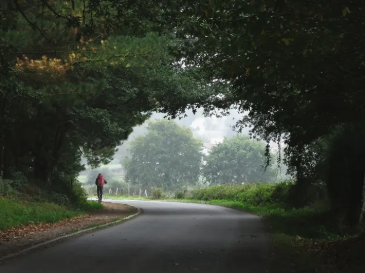 Man walking along a road
