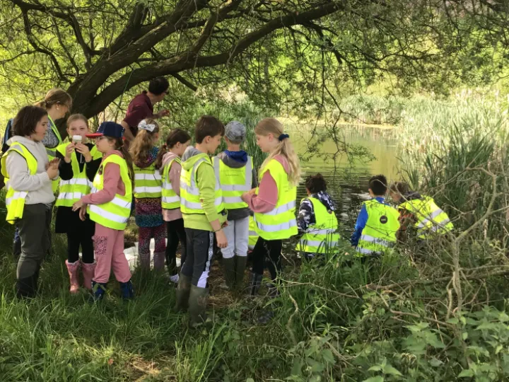 25B0A2F5-EA95-4C9B-BD60-A2B97F178D5F