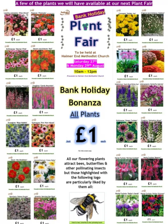 FB POS Collage 27th Aug 2022