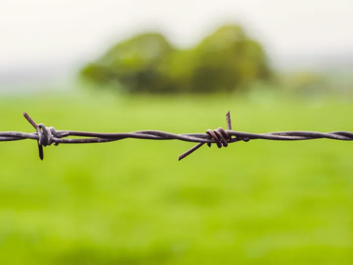 Barbed Wire