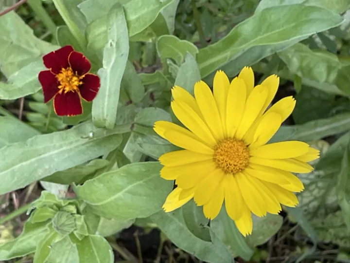 22FD5E71-E440-4C64-AAC5-02EA844FC202