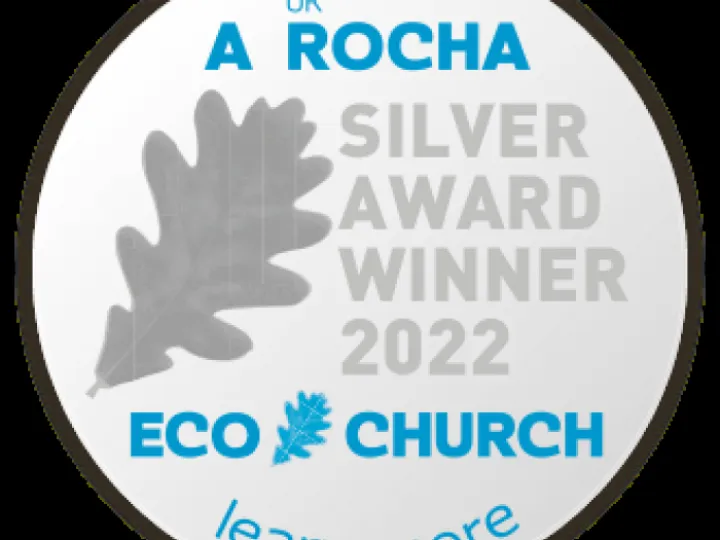 Rocha Silver button