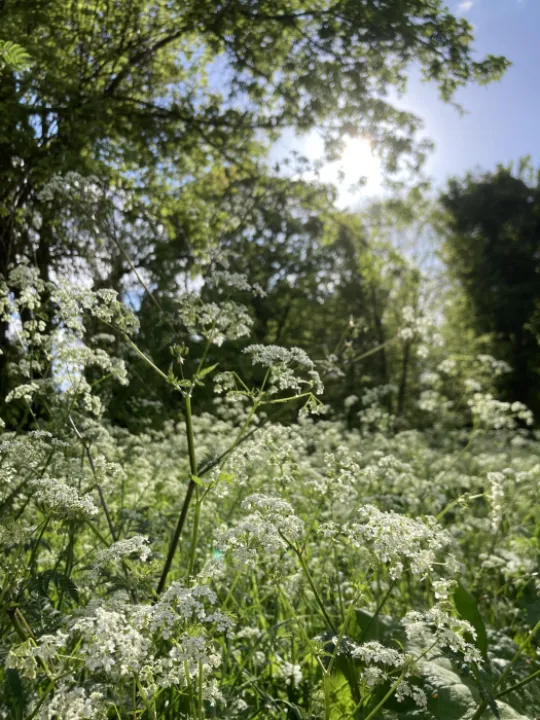 11 Betjeman Millennium Park