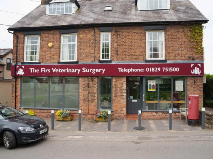 The Firs vets outside