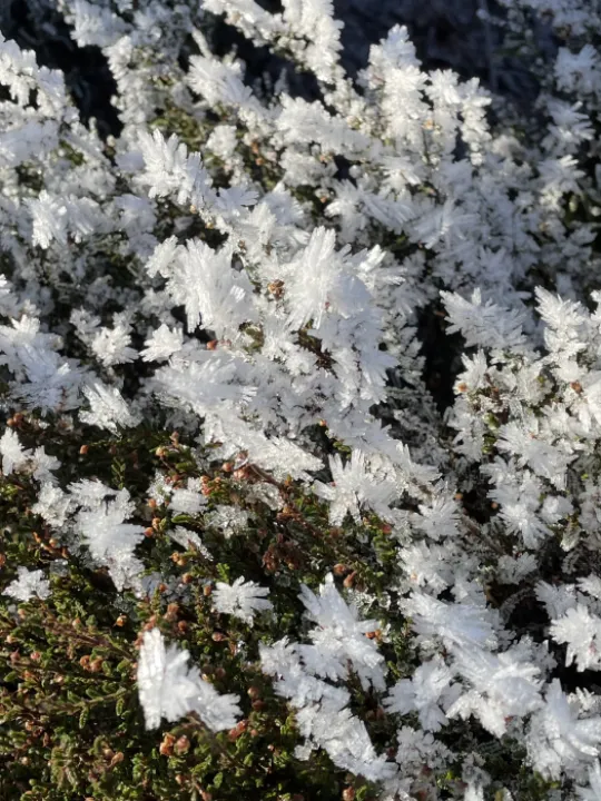 C5983A02-A374-405D-87A8-095274B28119