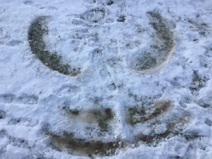 8D773097-43E5-4B7A-95C7-B4D64D3C93D8