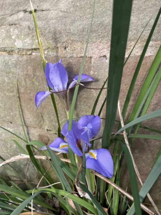 61A3B737-DCDE-48D5-8DE6-7048D8267633