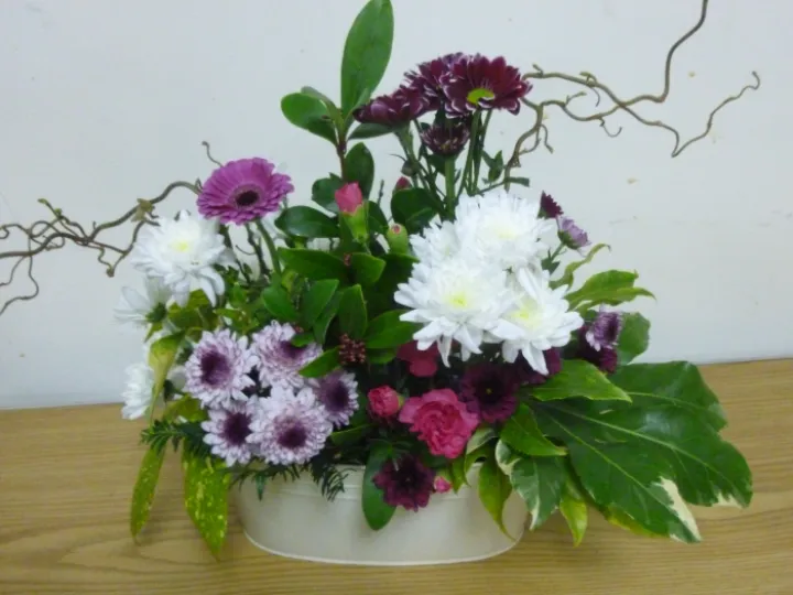 Flower club feb 2023