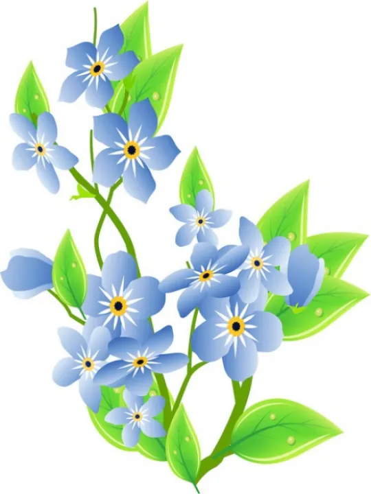 Forget me not
