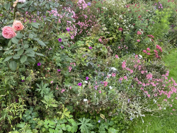 41D94FE8-3F16-48DC-9D59-6E63B54E0212