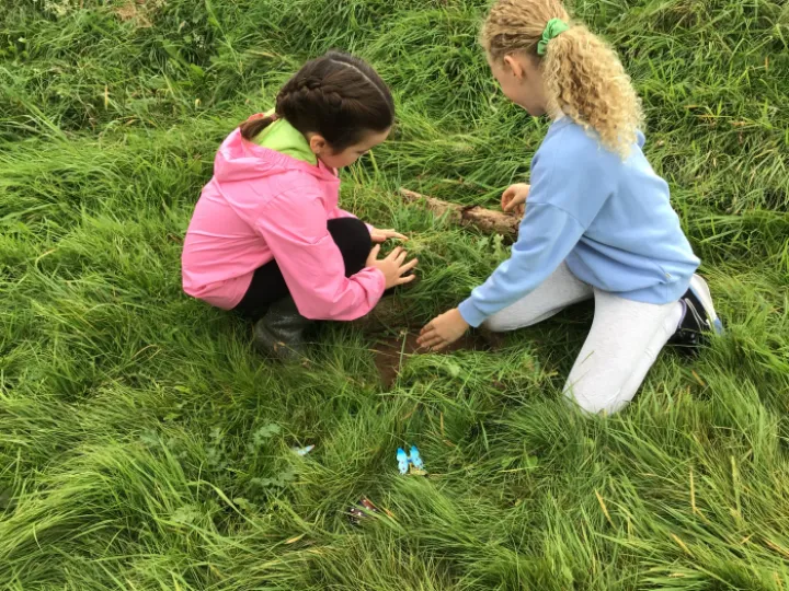 4312B02D-6697-433C-9CED-D7ACADEE5C37